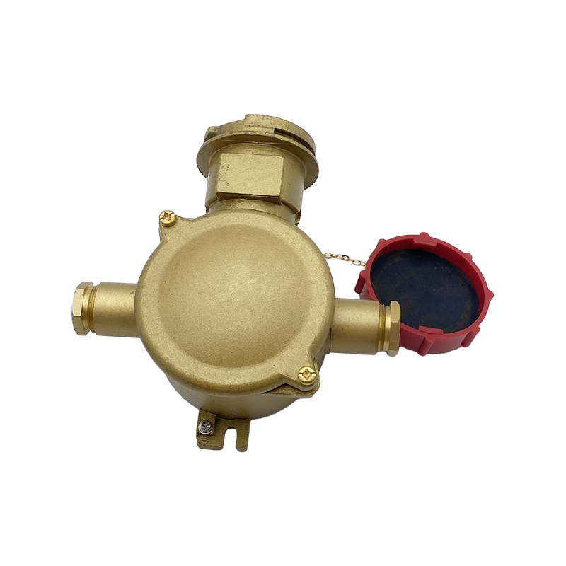 Priză electrică din alamă cu întrerupător de blocare-CZS3-2 1I4